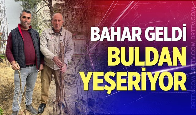 Buldan'ın bereketli toprakları fidanlarla canlanıyor