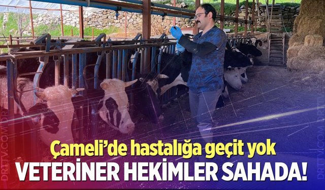 Çameli’de hayvancılığa aşı kalkanı