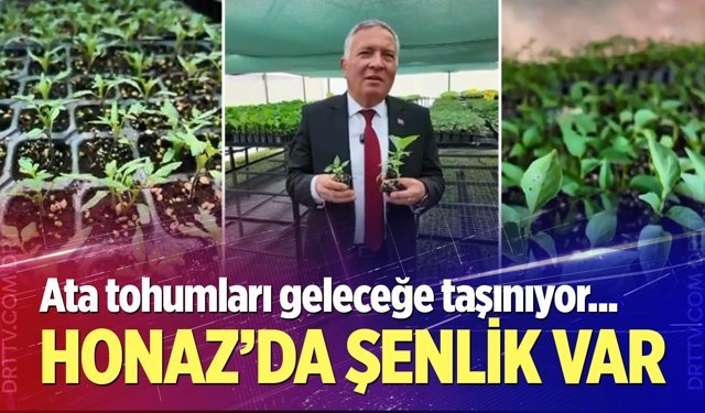 Honaz’da "Tohum Takas Şenliği" başlıyor