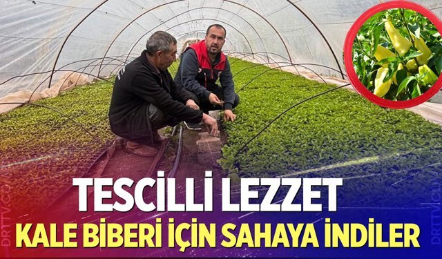 Kale Biberi için sahaya indiler