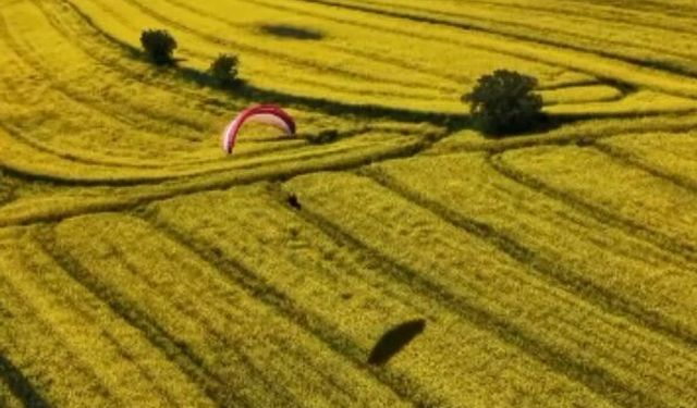 Paramotorlar sarı tarlaları gezdi