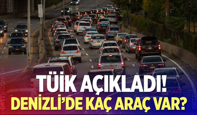 Denizli’de Kaç Araç Var?  TÜİK açıkladı