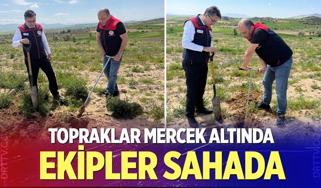 Denizli’de ekipler tarım arazilerini mercek altına aldı