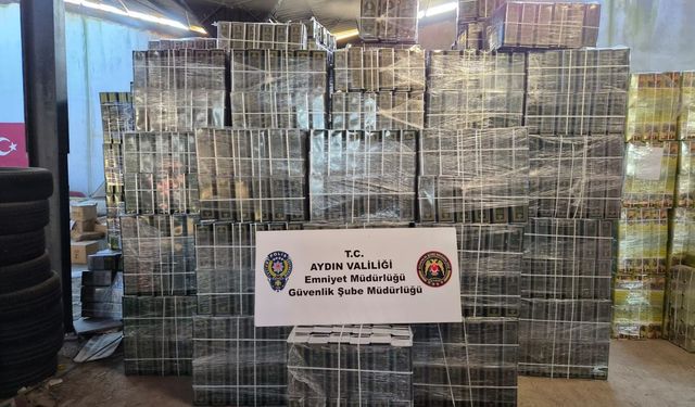 Aydın'da tağşiş zeytinyağı operasyonu
