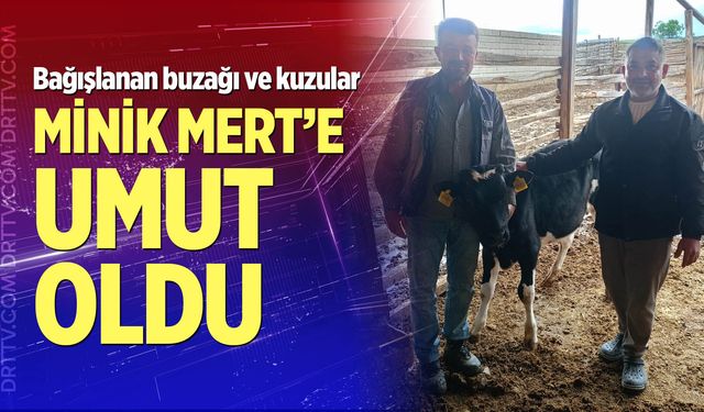 Bağışlanan buzağı ve kuzular Mert sağlığına kavuşması için desteğe dönüştü