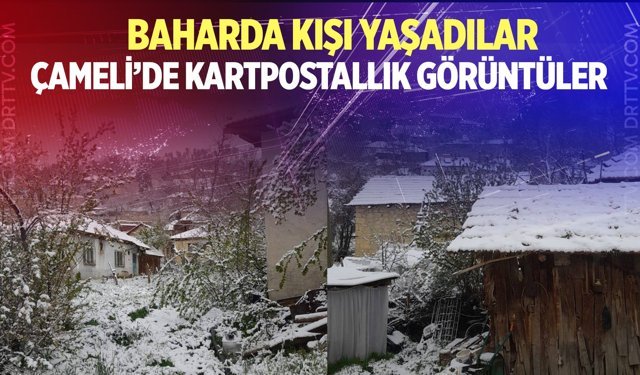 Baharda kışı yaşadılar! Çameli'de kartpostallık görüntüler