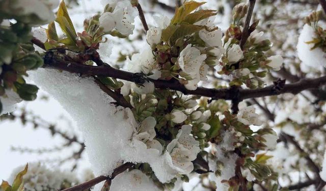 Kütahya’da Mayıs ayında kar sürprizi