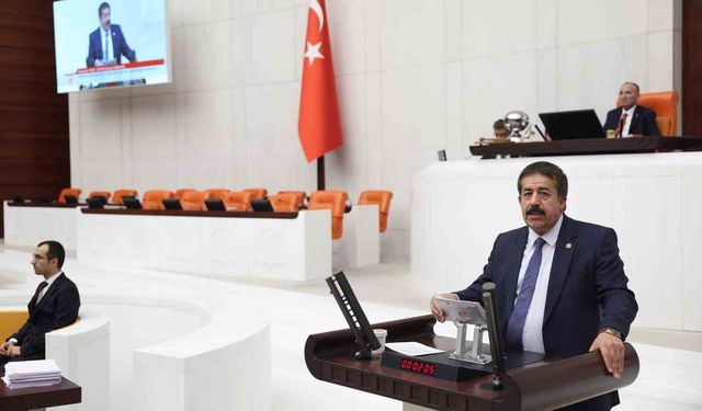 Başıboş sokak köpekleri için Erzurum modeli önerisi