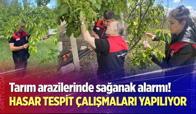 Denizli'de tarım arazilerinde yoğun mesai