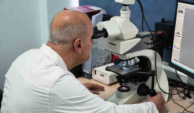 Trokserutin nörodejeneratif hastalıklara umut oldu