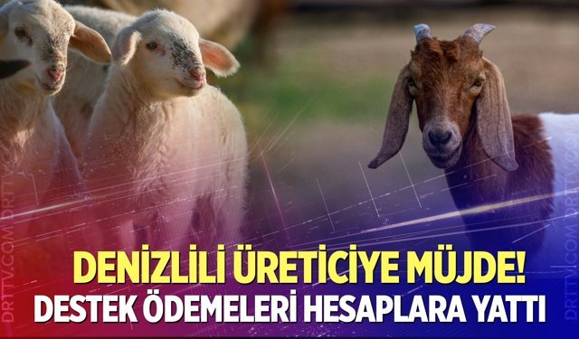 Denizlili üreticilere dev destek!