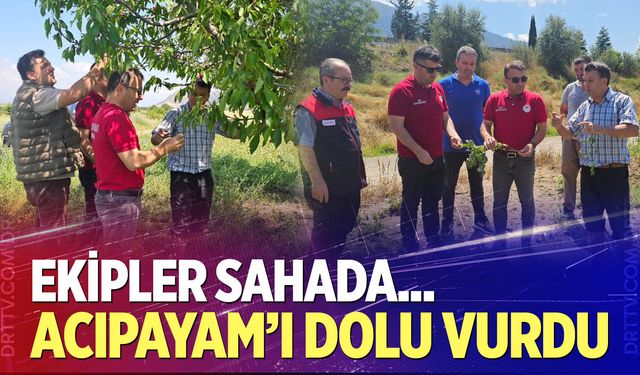 Denizli’de dolu sonrası tarım alanları incelendi