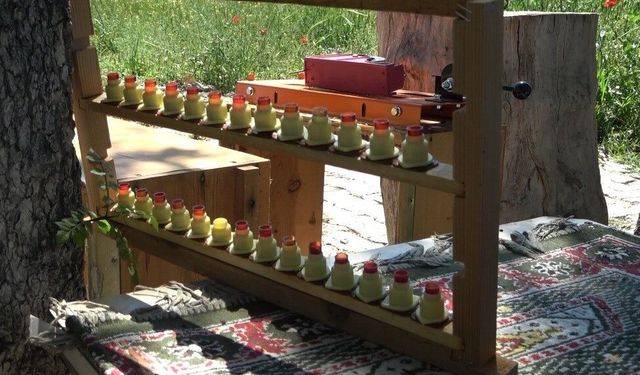 Bilim insanları arı sütündeki kalite farkının sırrını ortaya çıkardı