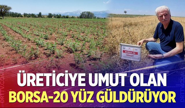 Ekilen Borsa-20 Yeşerdi