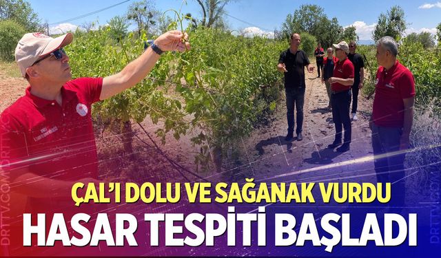 İl Müdürü Mustafa Nevzat Zayim sahaya indi! Çal'da hasar tespit mesaisi