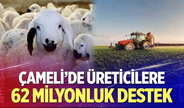 Çameli’de üreticilere 62 milyonluk destek