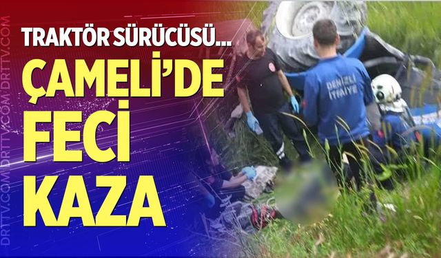 Çameli'de feci kaza