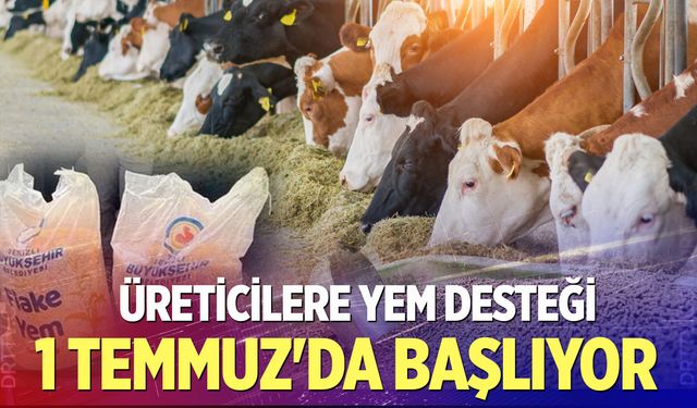 Çardaklı üreticilere yem desteği 1 temmuz'da başlıyor