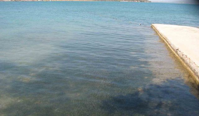 Didim’in deniz suyu kalitesi dikkat çekti