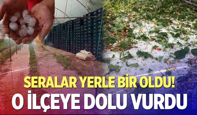 Üreticinin kabusu dolu yağışı oldu