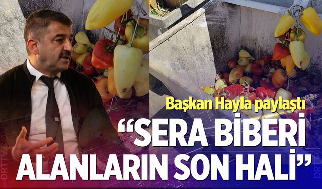 Kale’de biber tartışması büyüyor; Başkan Hayla sosyal medyadan paylaştı