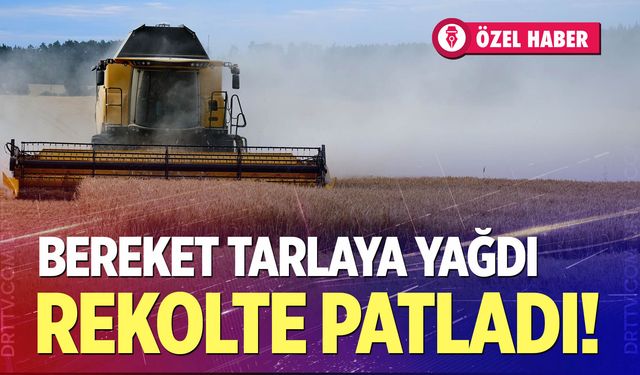 Hububatta verim rekoru, fiyatta hayal kırıklığı