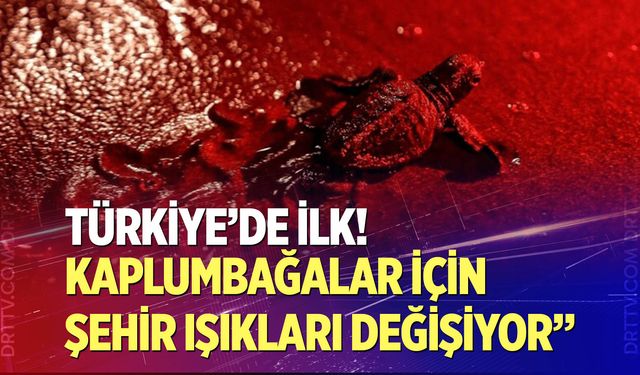 Kaplumbağalar için şehir ışıkları değişiyor