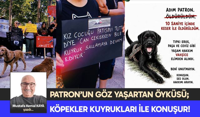 KÖPEKLER KUYRUKLARI İLE KONUŞUR!