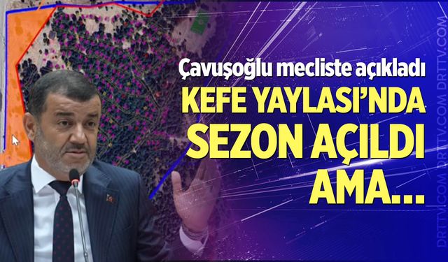 Kefe Yaylası'nda sezon açıldı ama...