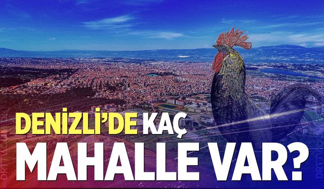 Denizli’de kaç mahalle var? İşte şaşırtan istatistik