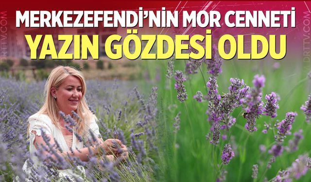 Lavanta Bahçesi Yoğun İlgi Görüyor