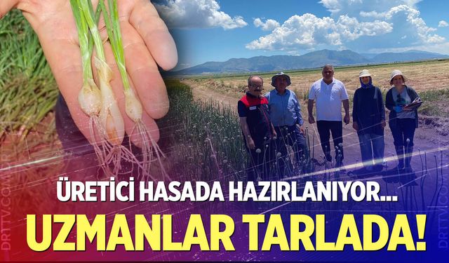 Acıpayam’da soğan tarlalarına yakın markaj