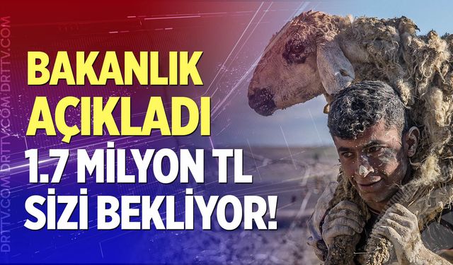 Tarladan kadraja uzanan yolculuk; Son başvuru 31 ağustos
