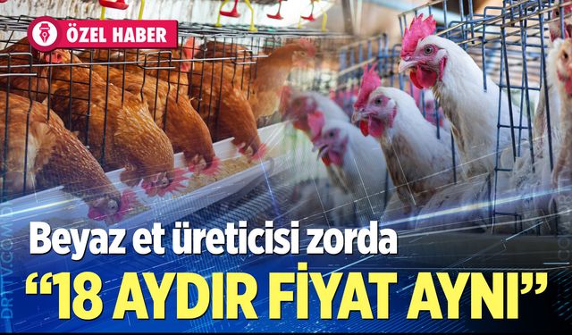 İhracat kısıtlaması beyaz et üreticisini zorluyor; Fiyatlar 18 aydır aynı…