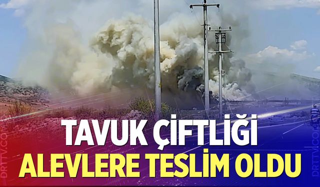 Çal'da tavuk çiftliği alevlere teslim oldu