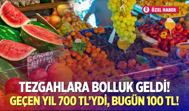 Meyvede bereket, patates ve soğanda yağış etkisi