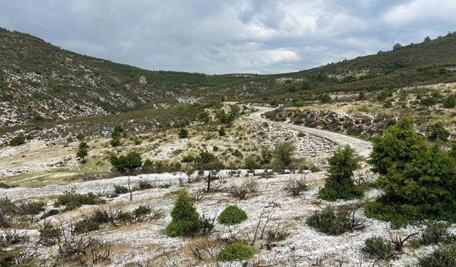 Uşak’ın yüksek kesimlerinde dolu yağışı etkili oldu