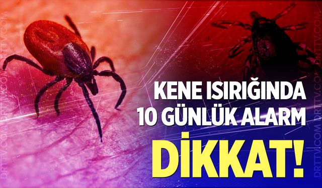 Uzmanından kene tutunmasında ’10 gün’ uyarısı