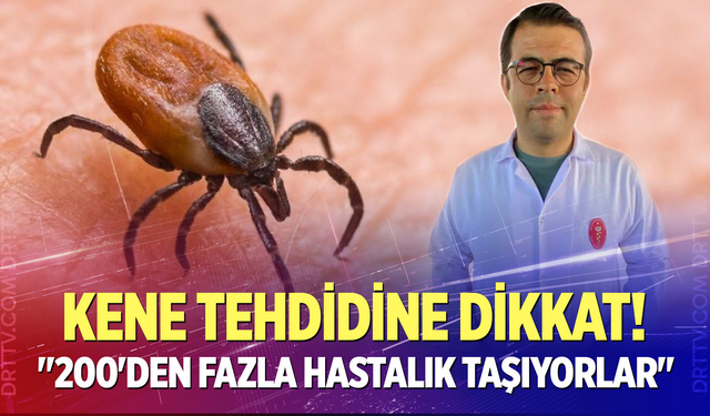 Kene tehdidine dikkat!
