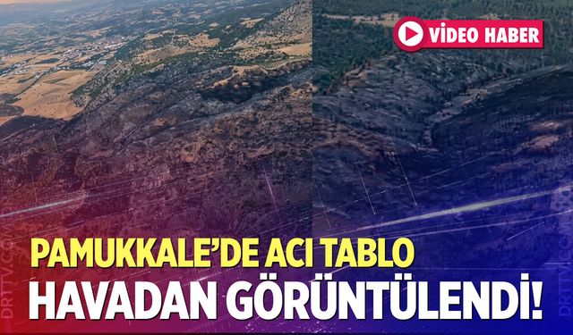 Pamukkale orman yangınında büyük mücadele: Alevlerin önü kesildi!
