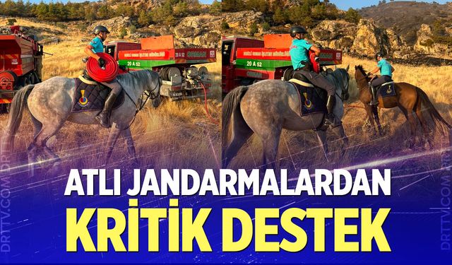 Atlı jandarmalar yangın bölgesine hortum taşıdı