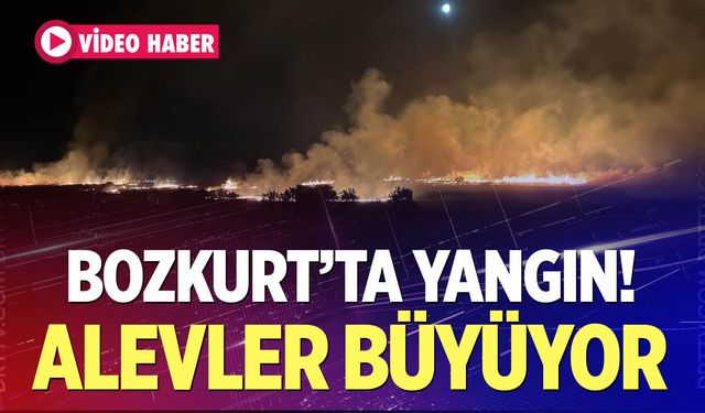 Bozkurt'ta Korkutan Yangın!