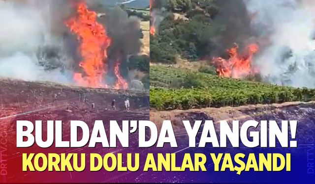 Buldan’da makilik alanda yangın çıktı