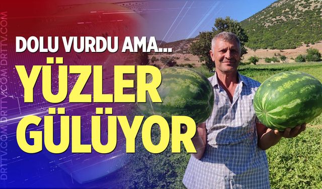 Denizli’nin lezzet simgesi Dodurga Karpuzu tezgâhlara indi