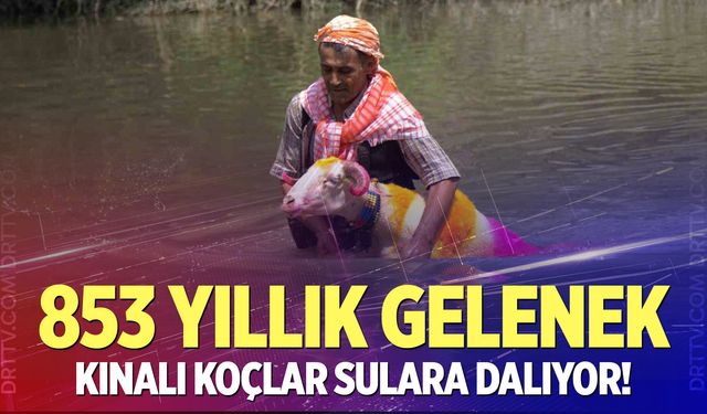 853 yıllık gelenek: Kınalı koçlar sulara dalıyor!