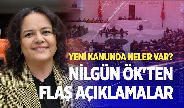Yeni kanunda neler var? Nilgün Ök'ten flaş açıklamalar