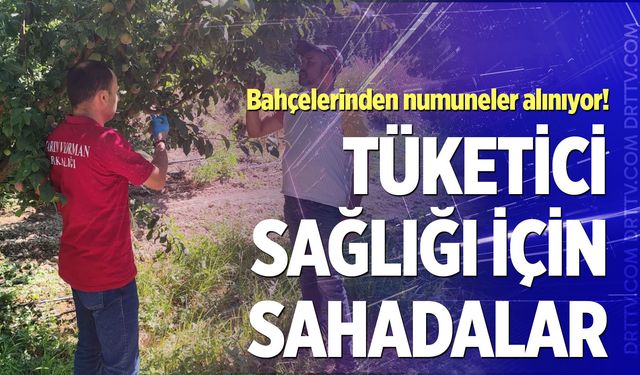 Denizli'de meyve bahçelerine sıkı markaj