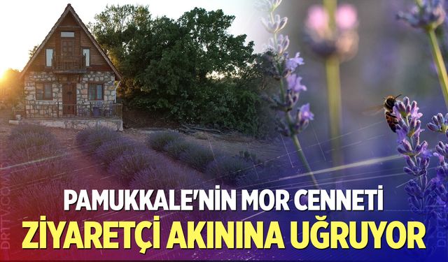 Pamukkale'nin mor cenneti ziyaretçi akınına uğruyor