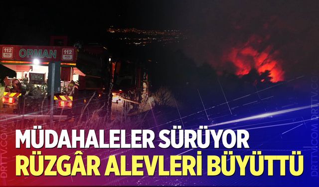 Denizli'deki orman yangını gece saatlerinde rüzgarın etkisiyle tekrardan etkili oldu