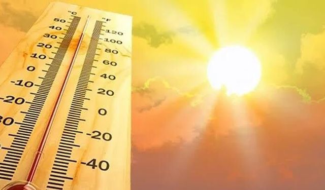 Uzmanı uyardı: "Aşırı sıcaklar beyin fonksiyonlarını olumsuz etkiliyor"